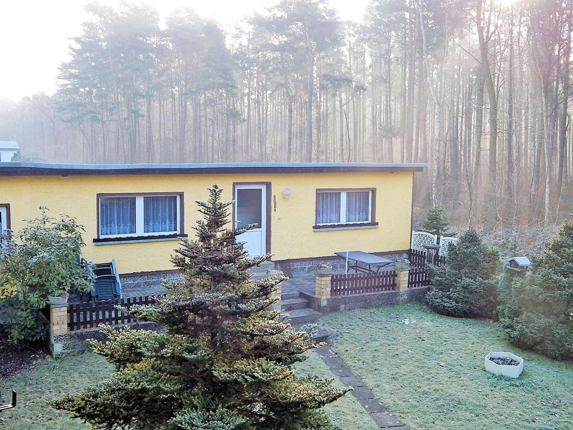 Ferienhus Baabe Fewo 01 Terrasse, Sauna- Und Schwimmbadnutzung Im Ahoi Sellin Eksteriør bilde